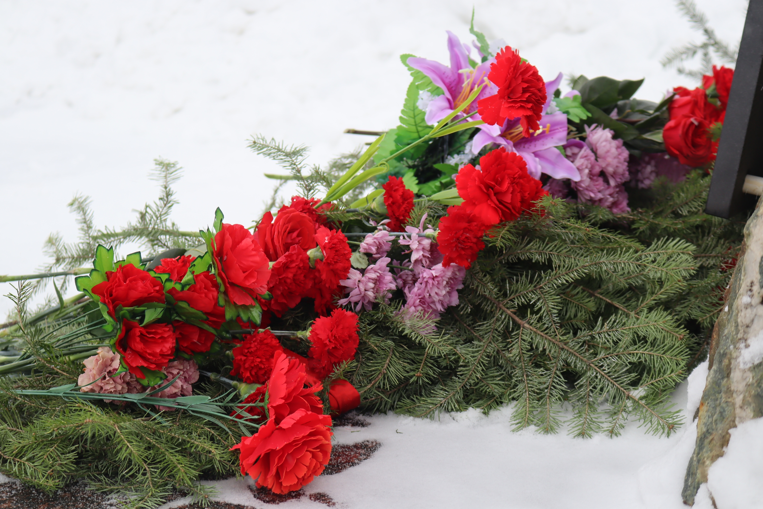 Fn9F5BJvAYGsfGudbAfPt08xu EXta7pR20z6SWkJBoNtUDNMsSqbnehddkibFxjflRdsrcVYeiF9O5wSuZiM3ui