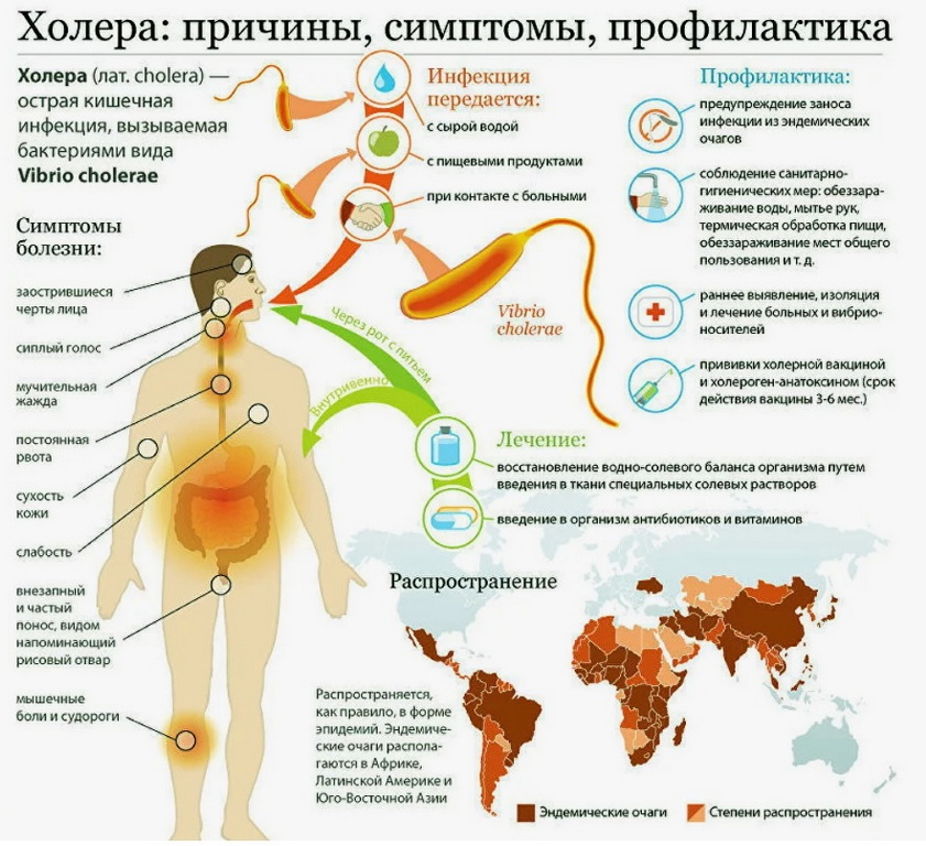 Безымянный