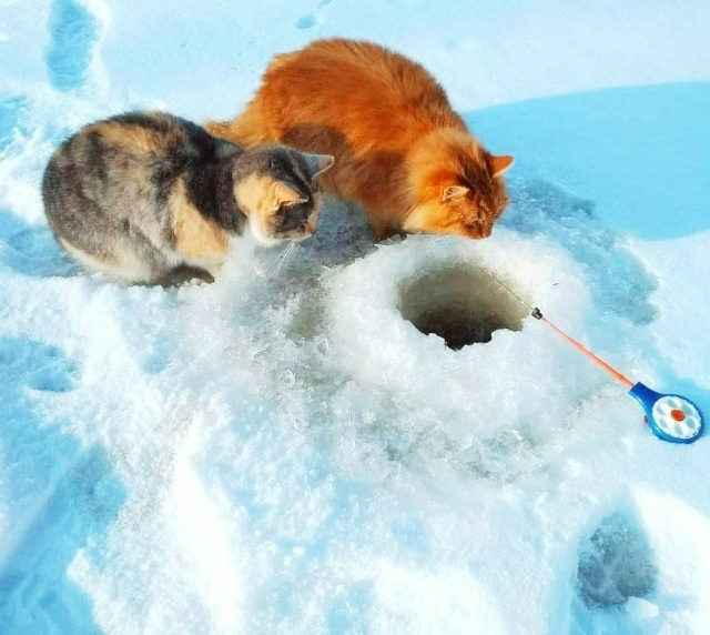 aVCSPRq8GsIjHMuwgDxIPbRV1GY6qv7JUxvmoT2VumRxDM2Zii3vjEu5seqqvOrTzhIeEy8CoiYp3bDsiFeDDxLP